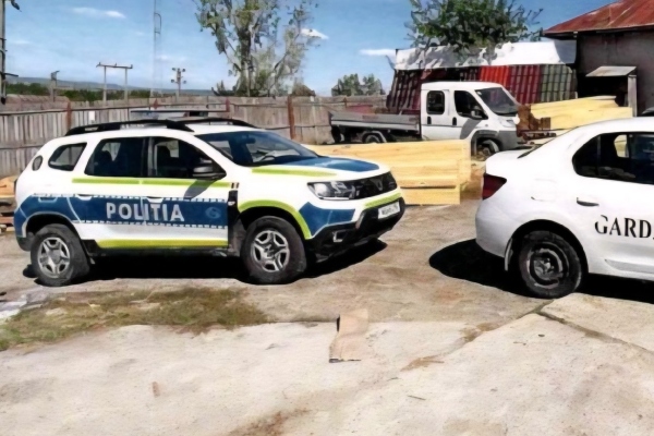 poliție garda forestieră lemne