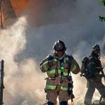 Sursă foto: pexels.com