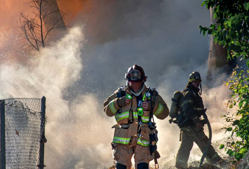 Sursă foto: pexels.com