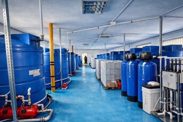 fabrică România chromosome dynamics