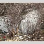 parau localitatea Chirpăr Sibiu