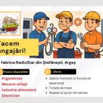 Cauți un job? Fabrica RadicStar din Ștefănești angajează! 11 Radicstar angajeaza