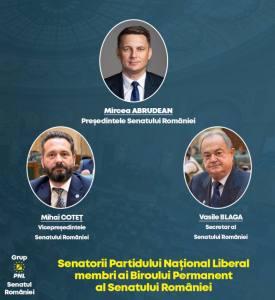 Sursă foto: FB Grup PNL Senat