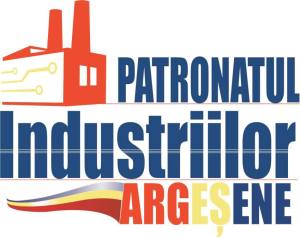 patronatul industriilor argesene 3 - S-a lansat IMM Digital Index - instrument de monitorizare a performanței digitale a afacerilor