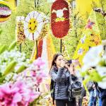 Sursă foto: ediția tipărită