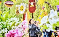 Sursă foto: ediția tipărită