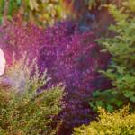 Sursă foto: FB Primăria Municipiului Pitești.