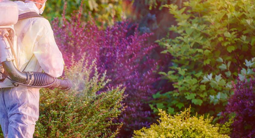 Sursă foto: FB Primăria Municipiului Pitești.