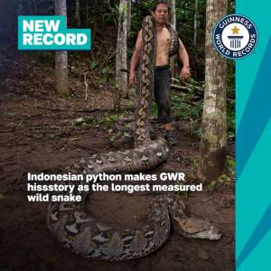 Sursă foto și video: guinnessworldrecords.com.