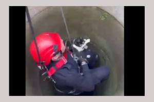 pisica salvata pompieri