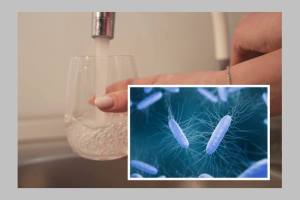 Untitled Project 8 - Ce este Clostridium, bacteria din apa de la Curtea de Argeș? Poate ucide?