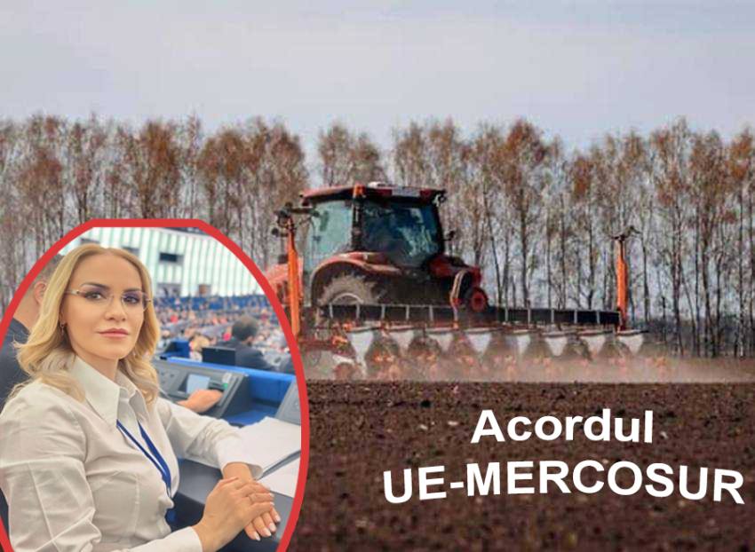 Sursă foto: colaj Ancheta/ Facebook APIA, FB Gabriela Firea