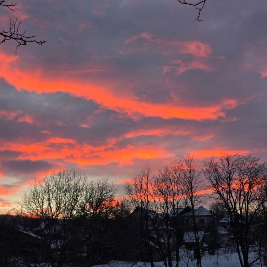 Valentine’s Day la Casa Lazaroiu Ziua Îndrăgostiților