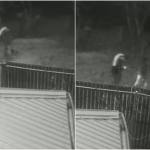 Posibilă tentativă de furt în Budeasa. Suspecții, surprinși de camere