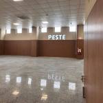 Sursă foto și video: FB Cristian gentea.