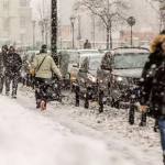 Vreme rea în aproape jumătate din țară. Este vizat și Argeșul. 11 cats - Vreme rea în aproape jumătate din țară. Este vizat și Argeșul.