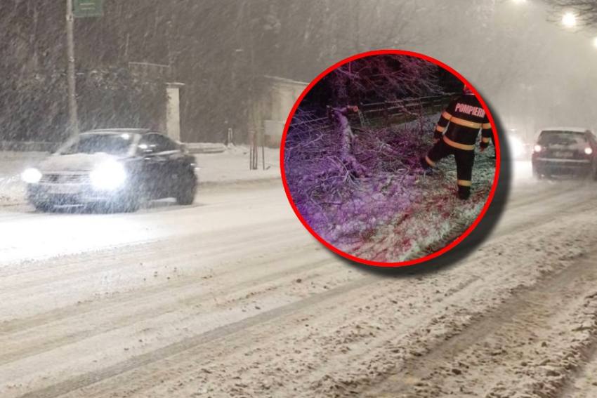 ninsori viscol pompieri copaci căzuți Argeș