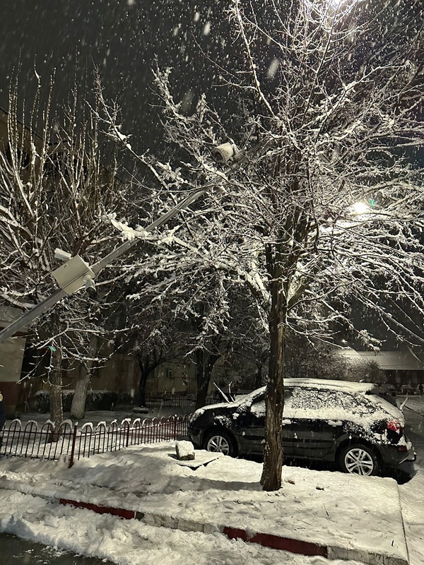 Vremea a creat probleme în Argeș: copaci căzuți pe mașini și stâlpi doborâți de viscol 6 0fce1a0b 3c05 4b61 aed4 a1efade83bab - Vremea a creat probleme în Argeș: copaci căzuți pe mașini și stâlpi doborâți de viscol