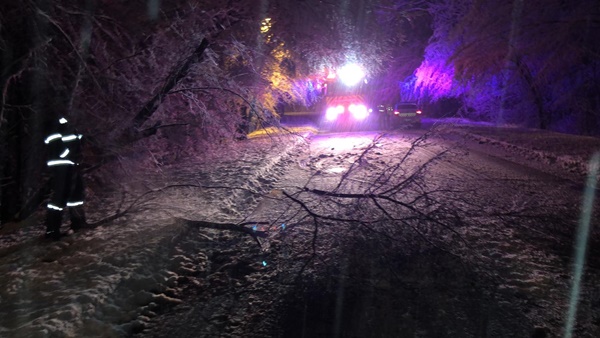 31837132 d9f2 432d ba3e 224f282c4f50 - Vremea a creat probleme în Argeș: copaci căzuți pe mașini și stâlpi doborâți de viscol