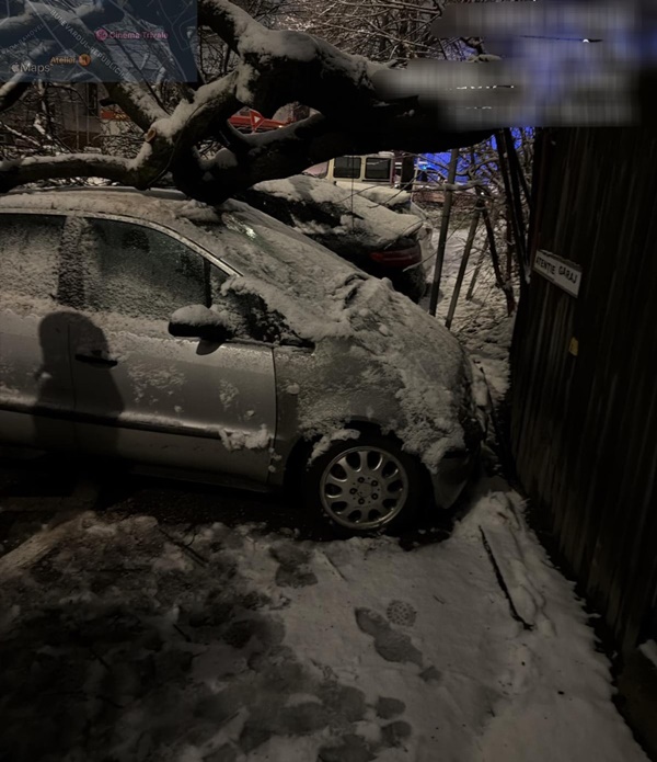 Vremea a creat probleme în Argeș: copaci căzuți pe mașini și stâlpi doborâți de viscol 2 c038dabc 8e91 4d97 a349 5391bc3f5841 - Vremea a creat probleme în Argeș: copaci căzuți pe mașini și stâlpi doborâți de viscol