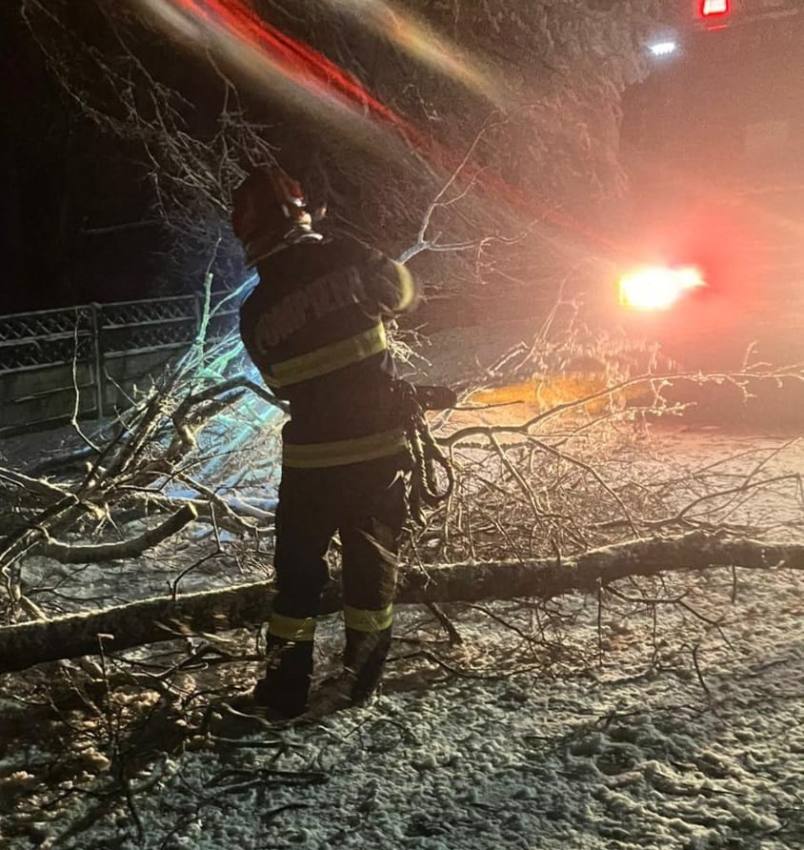 c6f06771 e30d 4dbc 9e86 938cd5609b3d - Vremea a creat probleme în Argeș: copaci căzuți pe mașini și stâlpi doborâți de viscol