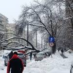 fată electrocatată București