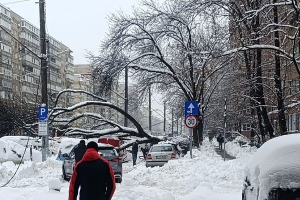 fată electrocatată București
