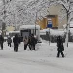 ninsori București oameni zăpadă iarnă