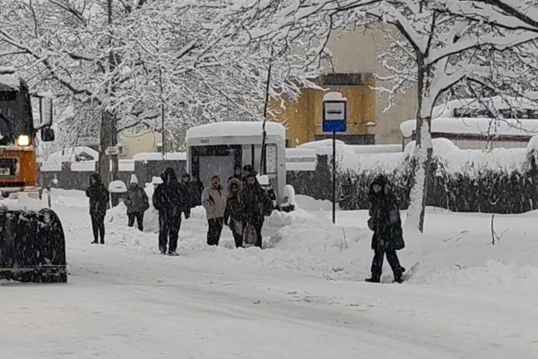 ninsori București oameni zăpadă iarnă