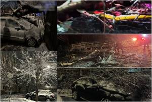 page - Vremea a creat probleme în Argeș: copaci căzuți pe mașini și stâlpi doborâți de viscol