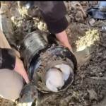 00d6793a 2cb6 4884 9734 186d3456d95a - 10 KILOGRAME de droguri în Pitești! Îngropate în borcane de murături!