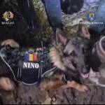 10 KILOGRAME de droguri în Pitești! Îngropate în borcane de murături! 10 21bf7917 6214 4c43 b9b9 f5b1e5164e4e - 10 KILOGRAME de droguri în Pitești! Îngropate în borcane de murături!