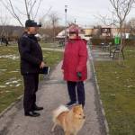 Poliția Locală Pitești stâpâni câini