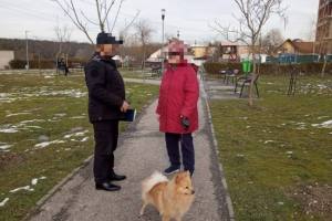 Poliția Locală Pitești stâpâni câini