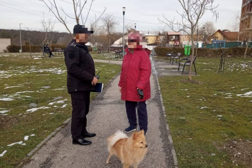 Poliția Locală Pitești stâpâni câini