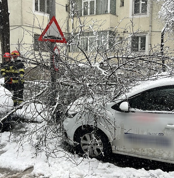 22249eac 7f71 4b53 8553 9a3bd7e15a9b - Vremea creează probleme în Pitești. Intervenții ale pompierii argeșeni