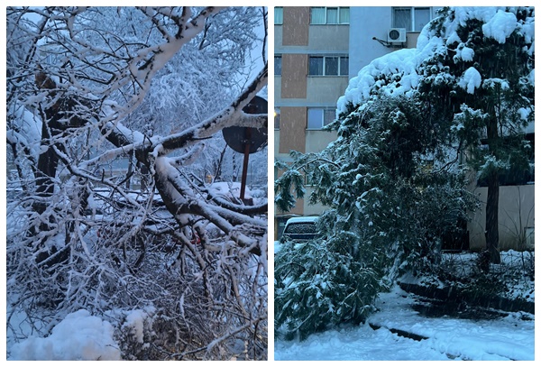 page 5 - Cod galben de vreme rea: mașini blocate, copaci căzuți, oameni fără curent electric și drumuri închise