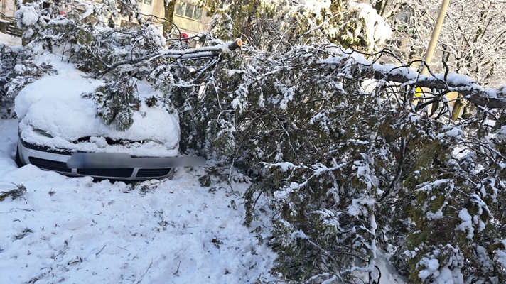 4d04f065 392b 4650 a415 4aa776ded88b - Probleme în Pitești din cauza vremii! Copaci căzuți și mașini avariate
