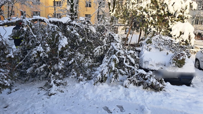 Probleme în Pitești din cauza vremii! Copaci căzuți și mașini avariate 2 82c2dfe5 e55a 4030 b36d b42ee4058943 - Probleme în Pitești din cauza vremii! Copaci căzuți și mașini avariate