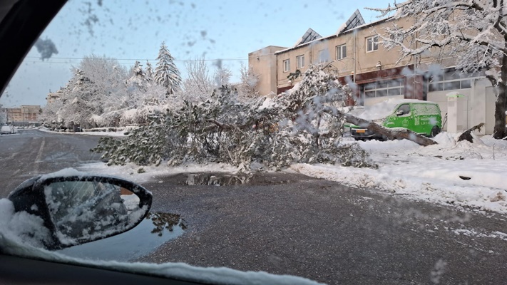 Probleme în Pitești din cauza vremii! Copaci căzuți și mașini avariate 3 8cef0010 e5bf 483f a719 75f0ee7a80a5 - Probleme în Pitești din cauza vremii! Copaci căzuți și mașini avariate