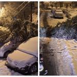 Probleme în Pitești din cauza vremii! Copaci căzuți și mașini avariate 10 page - Probleme în Pitești din cauza vremii! Copaci căzuți și mașini avariate