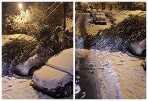 page - Probleme în Pitești din cauza vremii! Copaci căzuți și mașini avariate