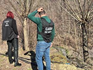 641648951 1240619468257382 3474911671169421392 n - Controale în zona montană a județului Argeș. Amenzi de aproape 200.000 de lei date de Garda de Mediu