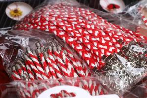 Sursă foto: Primăria Municipiului Pitești.