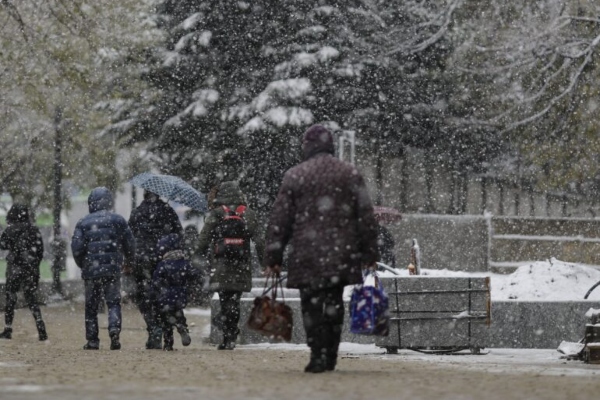 ninsoare vreme rea iarnă