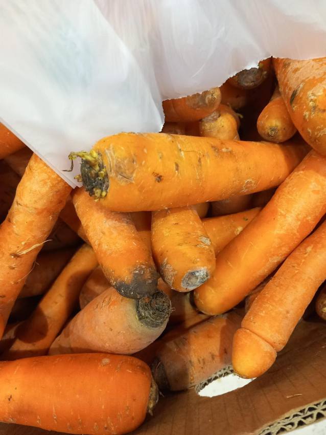 643680684 1389527743207821 6809131252393243241 n - Carne cu mucegai și alimente expirate: ANPC a dat amenzi de peste 5,72 milioane lei