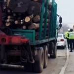cats 2 - Transport de lemne cu numeroase nereguli. Ce au descoperit polițiștii piteșteni