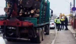 cats 2 - Transport de lemne cu numeroase nereguli. Ce au descoperit polițiștii piteșteni