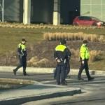 0b229535 e90e 4f7b b141 39a0072622fb - UPDATE: Piteștean de 75 de ani, transportat la spital după ce a fost lovit de o mașină pe trecerea de pietoni