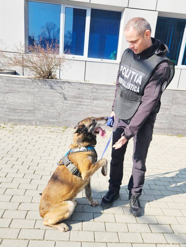 2 Axi si Dan 2 - Ei sunt câinii MAI ai Argeșului! Antrenați să detecteze droguri sau explozibil și să găsească persoane dispărute!